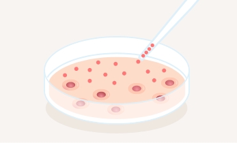 幹細胞培養上清液培養イメージ2