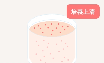 幹細胞培養上清液培養イメージ3