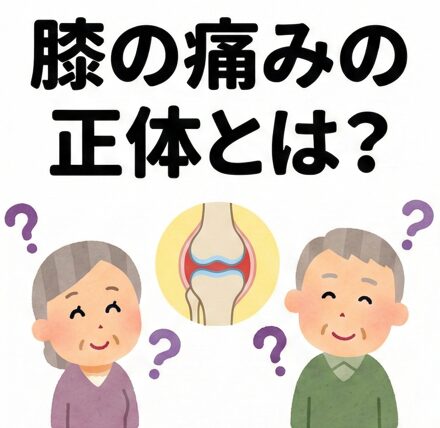 長時間歩いたあとに膝が痛むのはなぜ？原因と再発防止の対処法を整形外科専門医が解説