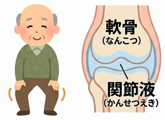 膝の痛みを1分でチェック！変形性膝関節症の初期症状5選と将来の歩行を守るための対策